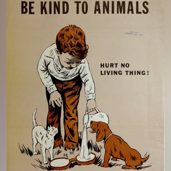 Meet your Posher, DD - Picture 8 of 9